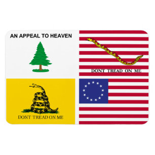 Flags Of The American Revolution Magnet