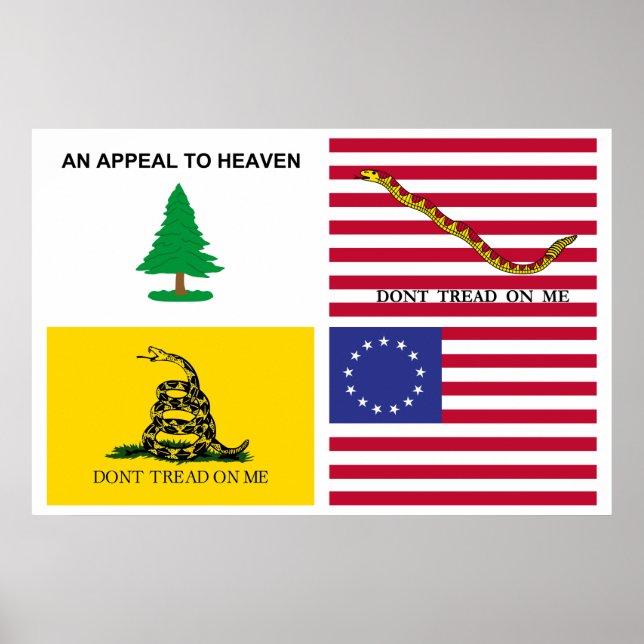 Flags Of The American Revolution Poster (Front)