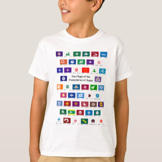 Flags of the Prefectures of Japan T-Shirt