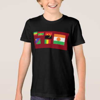 Flags of the world Tri-Blend shirt