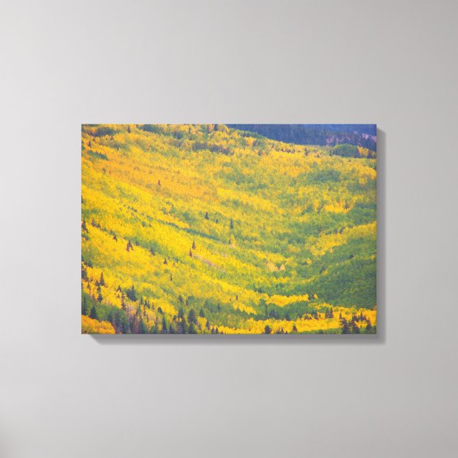 Flagstaff Arizona Aspens Canvas Print (Front)