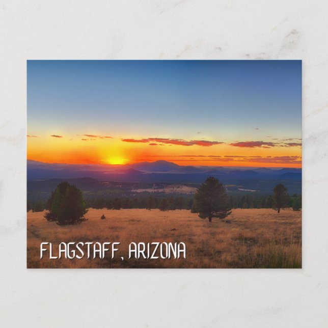 flagstaff arizona travel postcard (Front)