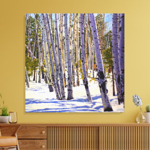 Flagstaff Winter Aspen Landscape – Daniel Fishback Canvas Print