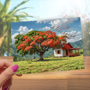 Flamboyán de Puerto Rico Postcard