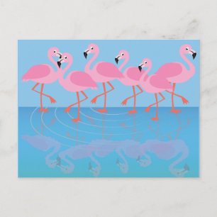 Flamboyance of Flamingos Postcard