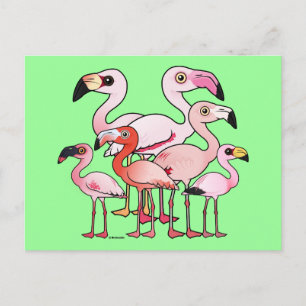 Flamboyance Postcard