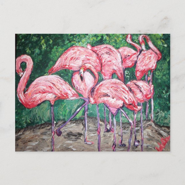"Flamboyant Flamingos" Postcard (Front)