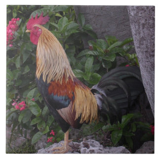 Flamboyant Rooster trivet