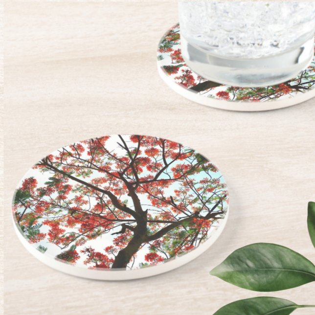 Flamboyant Royal Poinciana Flame Tree Stone Coaster (Creator Uploaded)
