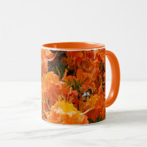 Flame Azalea Flowers