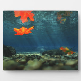 Flame in the Water Picture Plaque