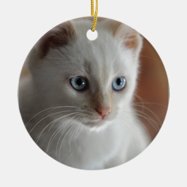 Flame Point Blue Eyes Ceramic Tree Decoration (Front)