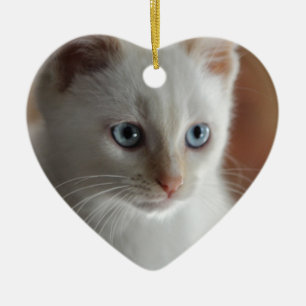 Flame Point Blue Eyes Ceramic Tree Decoration