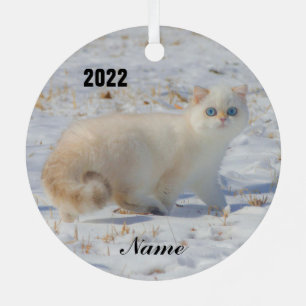 Flame Point Cat with Blue Eyes in the snow Metal Tree Decoration