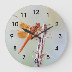 Flame Skimmer Dragonfly on Agave Large Clock