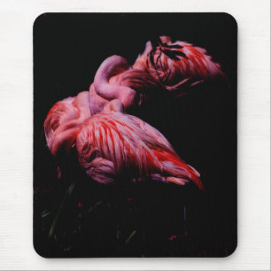 Flames in the Darkness Mouse Pad
