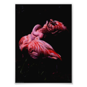 Flames in the Darkness Photo Print