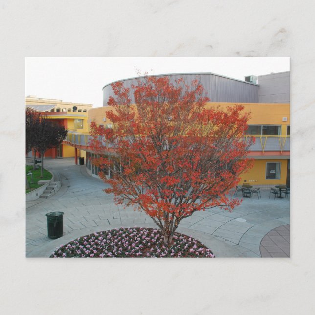 FlameTree Yerba Buena Postcard (Front)