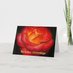 Flaming Rose Birthday Card