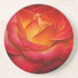 Flaming Rose Coaster