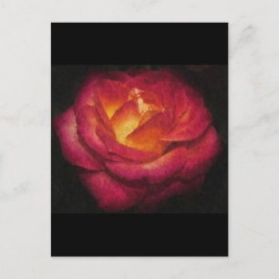Flaming Rose Oil Painting Postcard