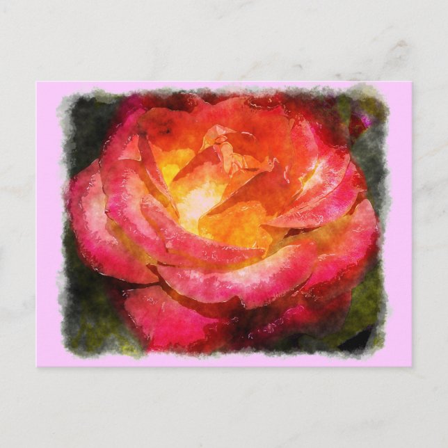 Flaming Rose Watercolor Postcard (Front)