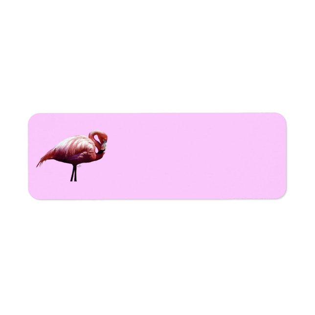 Flamingo (Front)