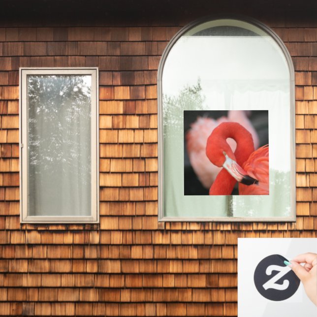 Flamingo 001 (Home Window)