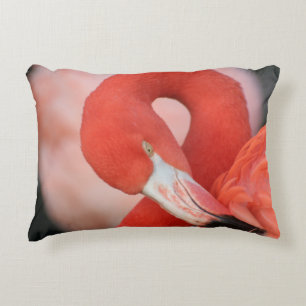 Flamingo 001 decorative cushion