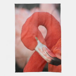 Flamingo 001 tea towel