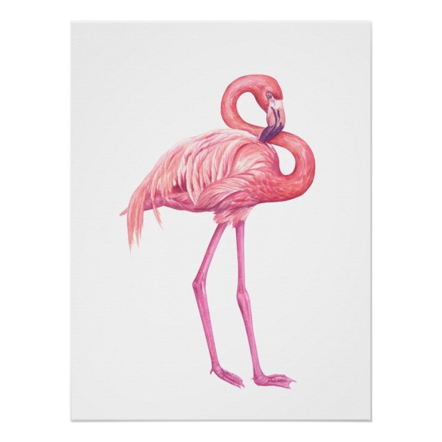 Flamingo 2 poster (Front)