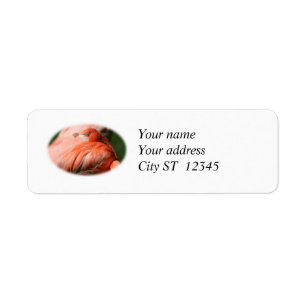Flamingo Address Label