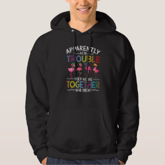 Flamingo Apparently We're Troubles When We are Tog Hoodie