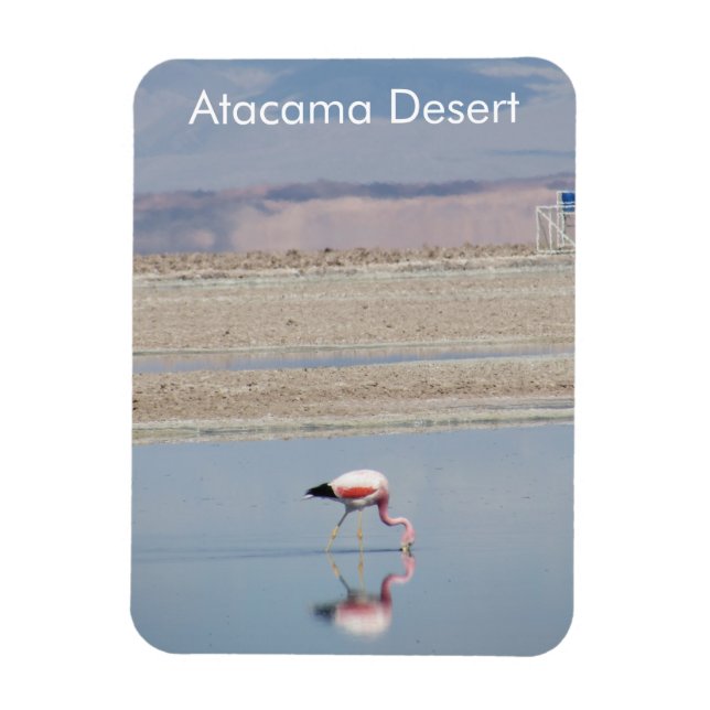 Flamingo Atacama Desert Flexible Magnet (Vertical)