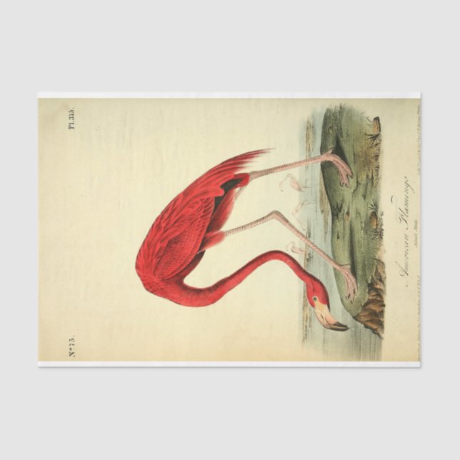 Flamingo Bird Ephemera Decoupage Tissue Paper (Front)