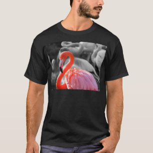 Flamingo Bird Photography T-Shirt
