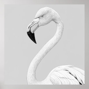 Flamingo Bird Wild Nature Animal Illustration Art  Poster