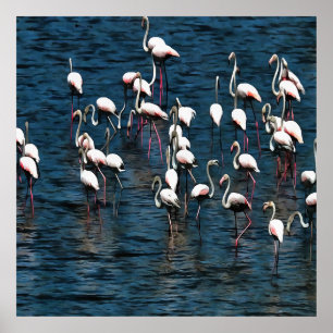 Flamingo Birds In Pink and White On Inkwell Blue Poster