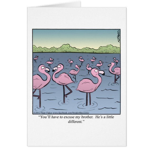 Flamingo Brother (Front)