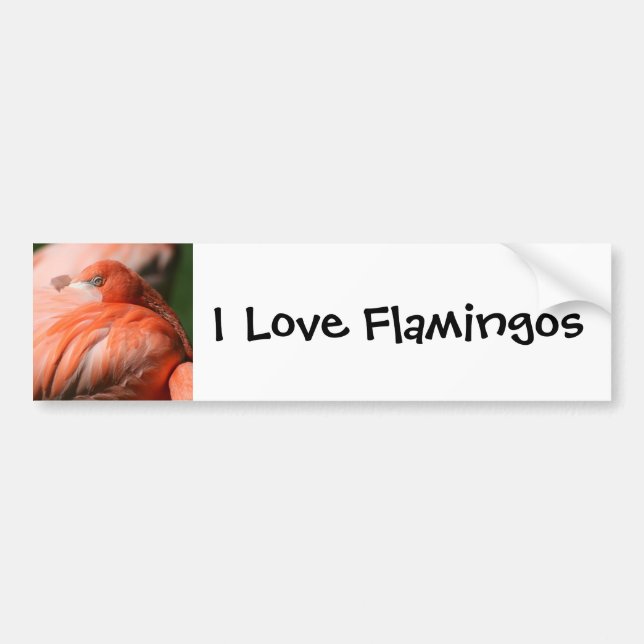 Flamingo Bumper Sticker (Front)