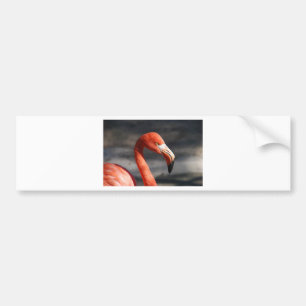 Flamingo Bumper Sticker