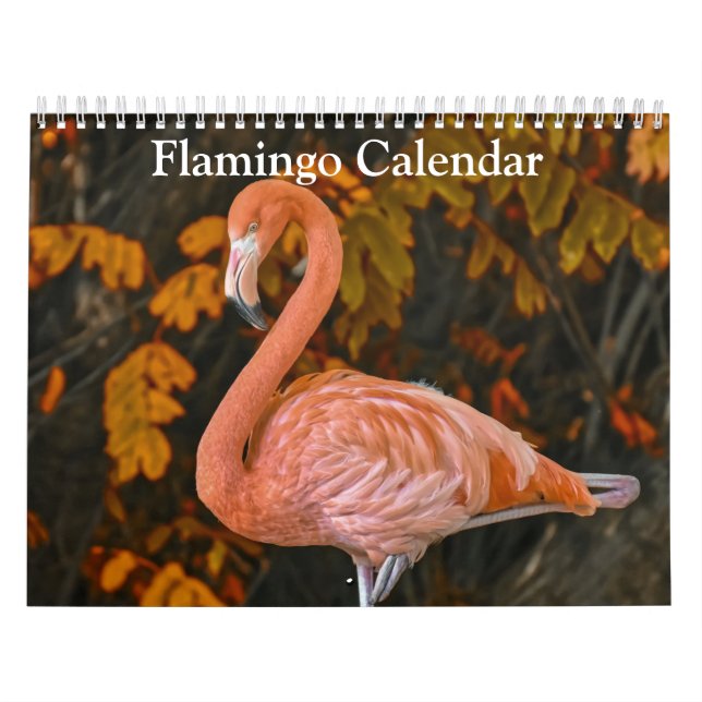 Flamingo Calendar 2026 (Cover)