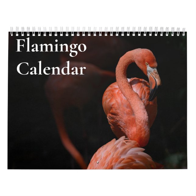 Flamingo Calendar 2026 (Cover)