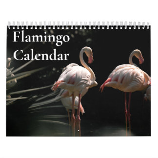 Flamingo Calendar 2027
