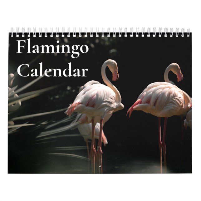 Flamingo Calendar 2027 (Cover)
