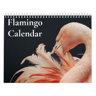 Flamingo Calendar 2027