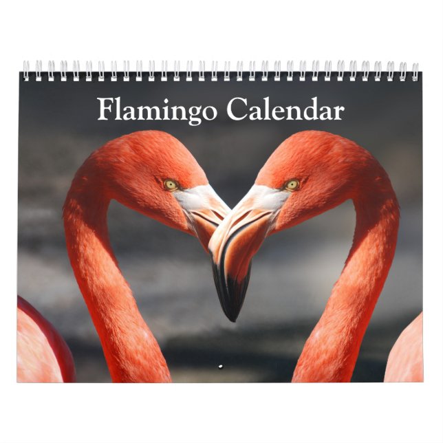 Flamingo Calendar 2027 (Cover)