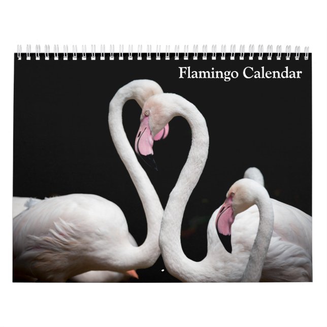 Flamingo Calendar 2027 (Cover)