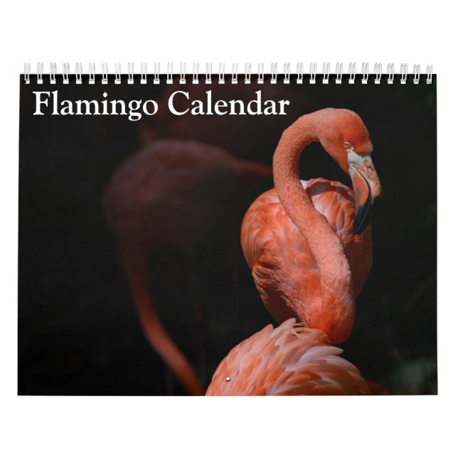 Flamingo Calendar 2027 (Cover)