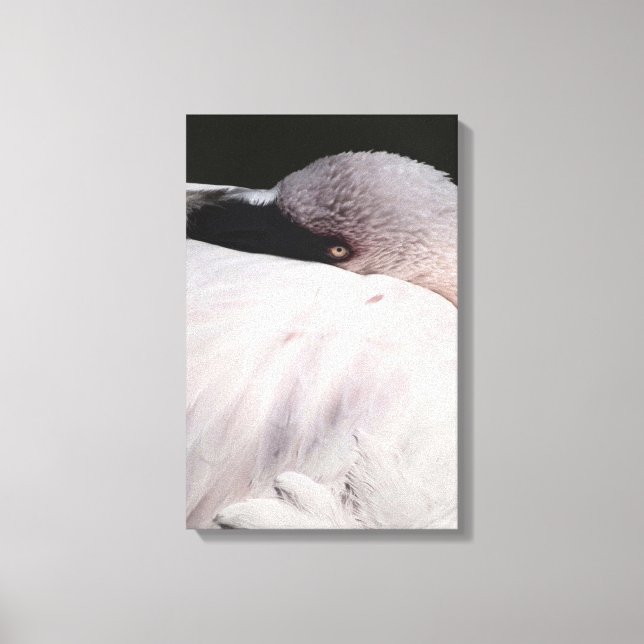 Flamingo Canvas Print (Front)